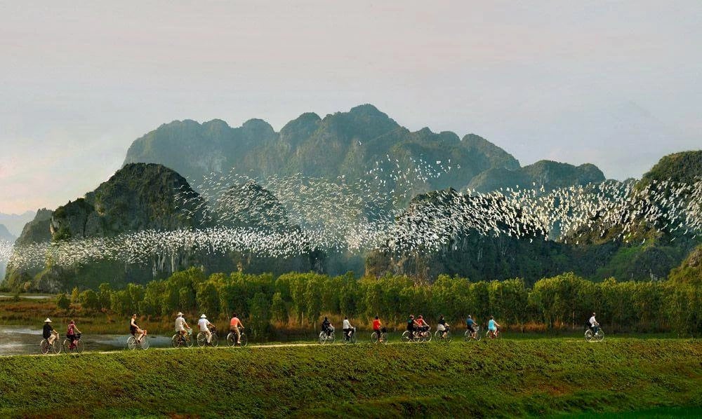 Thung Nham Bird Park - a place to admire the bird ecosystem